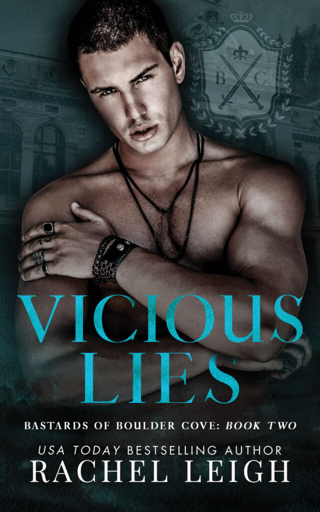 Vicious Lies - ebook